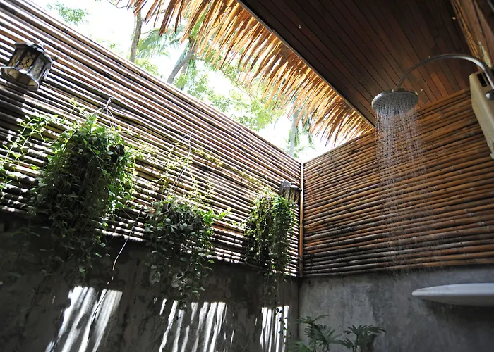 The Jungle Club