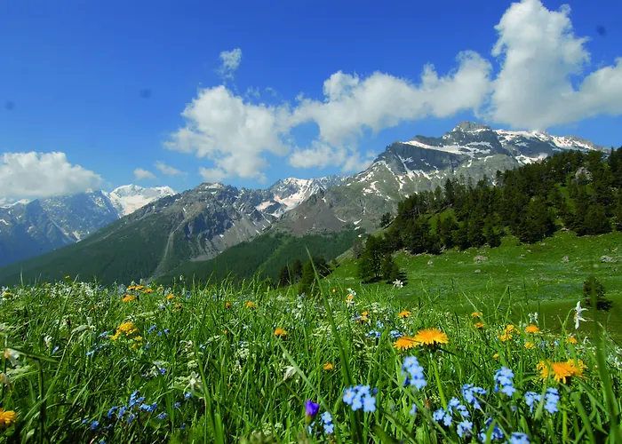 Club Vacances Bleues Les Alpes D'Azur