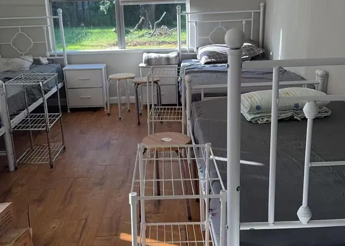 Man'S Bed In The Living Room Only 18 Dollars