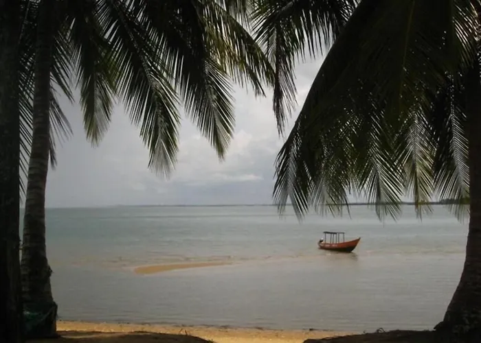 Daltons Banana Guesthouse