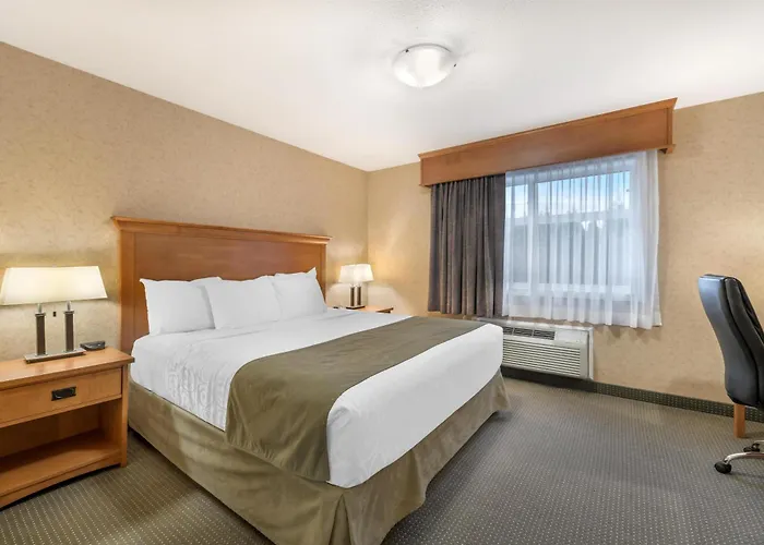 Best Western Sicamous Inn