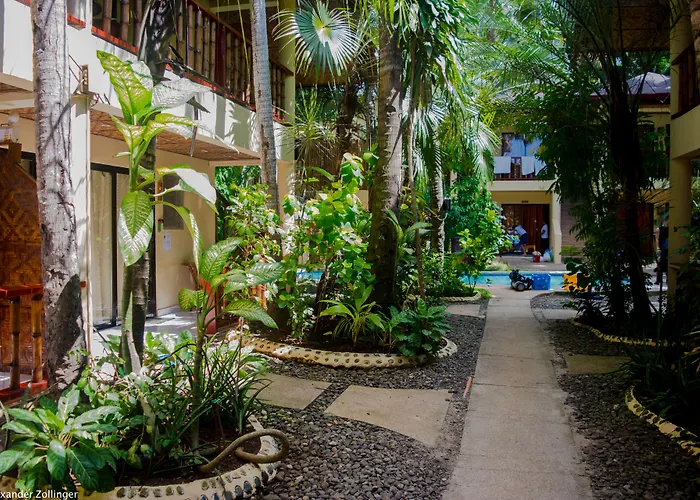 Alona Vida Beach Resort