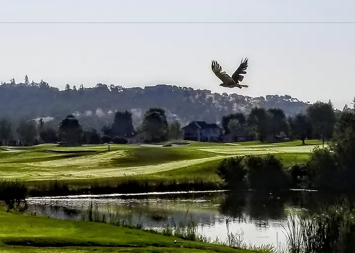 Resort At Eagle Point Golf Club Lodging