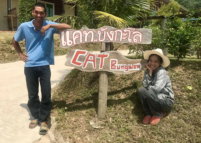 Cat Bungalow