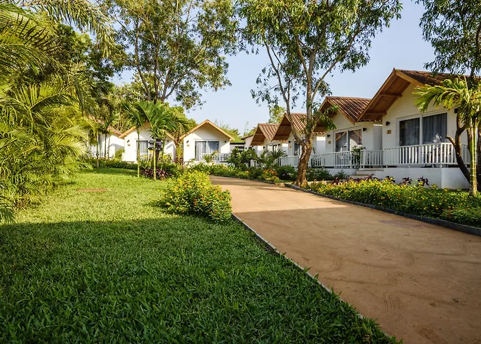 White Wood Resort By Stone Wood Hotels