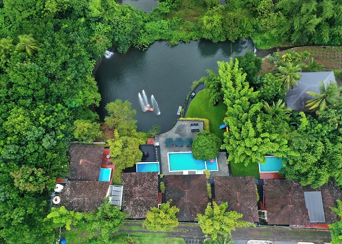 Athirapally Green Trees