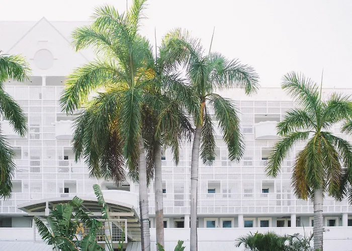 Palm Heights