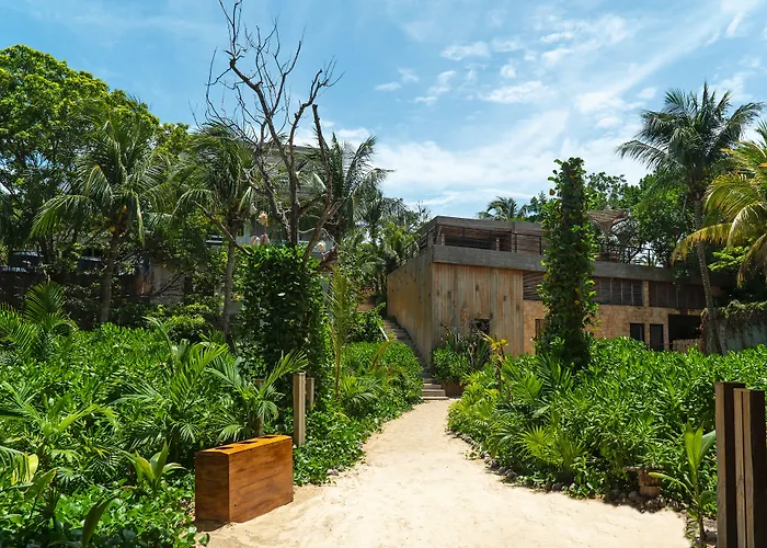Mayan Monkey Isla Mujeres - Social Hotel (Adults Only)