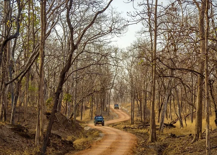 The Riverwood Forest Retreat Pench