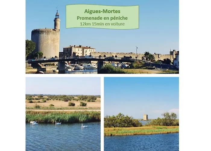 L'Olympe Vue Lac Avec Parking Prive Clim Wifi - Rossiconciergerie - Linge Inclus