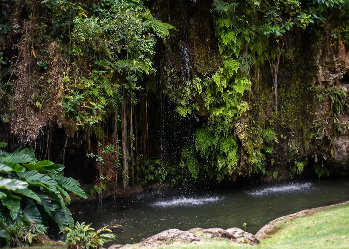 Apes Hill Barbados Golf And Resort Community