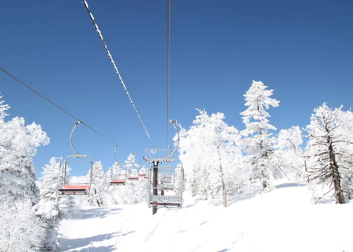 Shiga Kogen Olympic Hotel