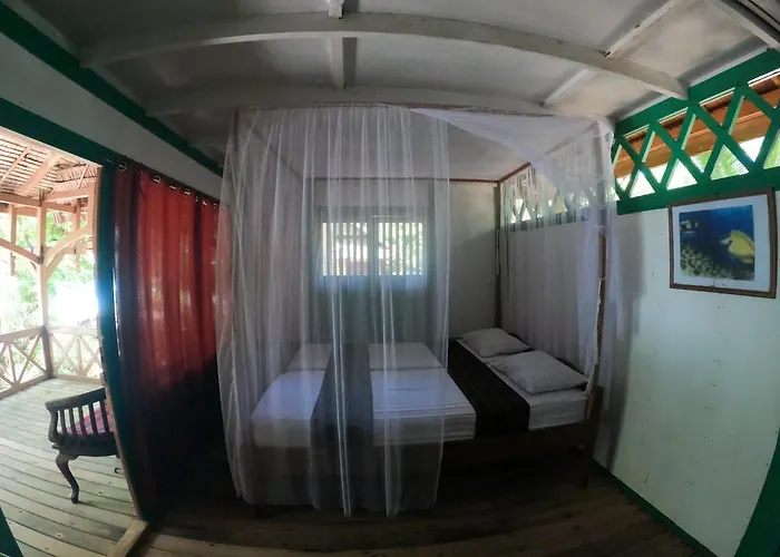 Hoga Island Dive Resort