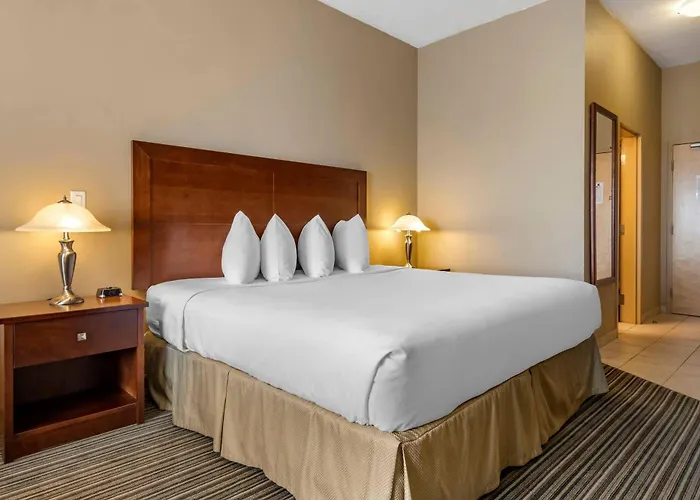 Quality Inn & Suites Rimbey