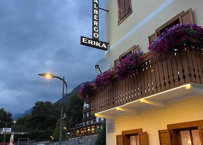 Hotel Erika