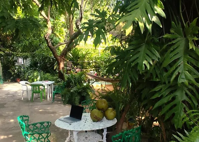 Jungle Palace hostel santaella