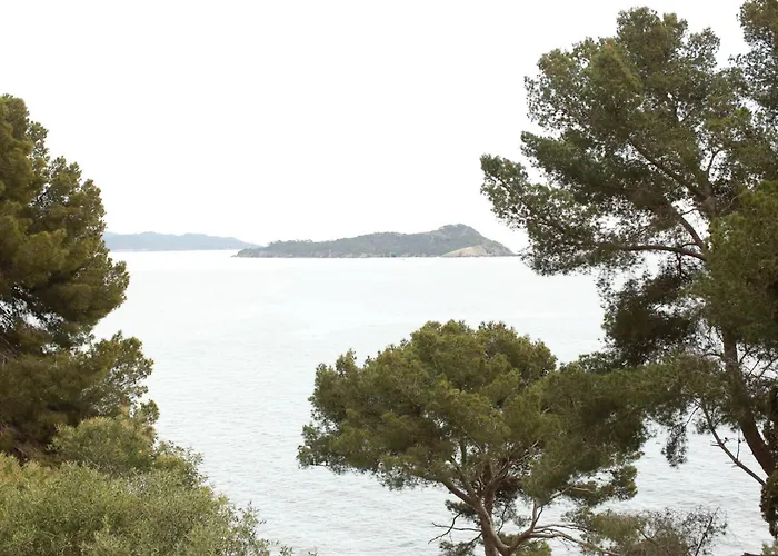 Hôtel Le Provençal - Rénové en 2025 - Bord de Mer