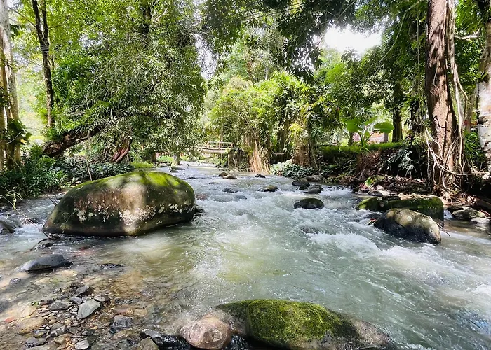 Khaosok River Hills Resort