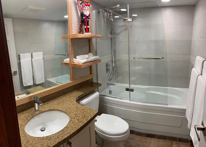 Xl Luxury Penthouse Ski-In Ski-Out The Aspens