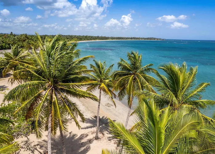 Aqua Terrazas Studio 3 - Beachfront, Pool, Local Fun & Dining