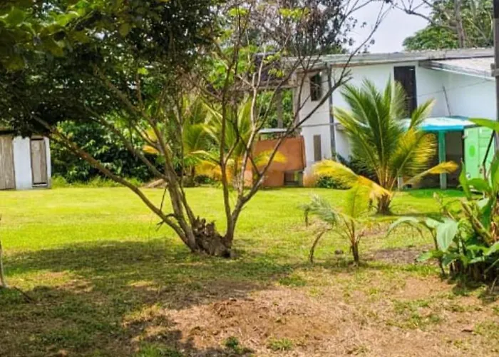 Villa 1200m2 de jardin 100m plage