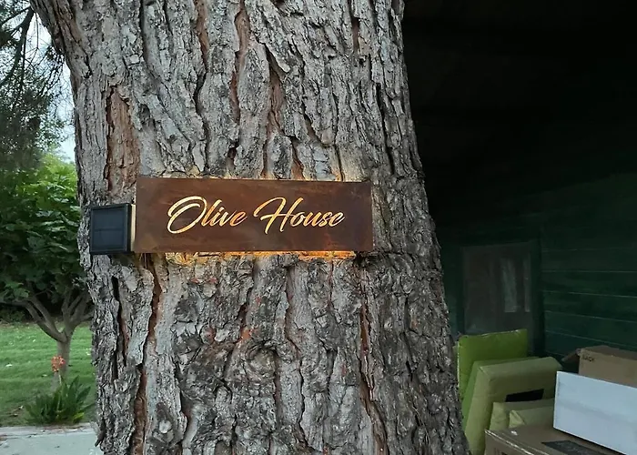 Mas Des Fleurs - Olive House