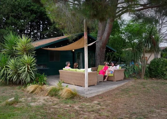 Mas Des Fleurs - Olive House