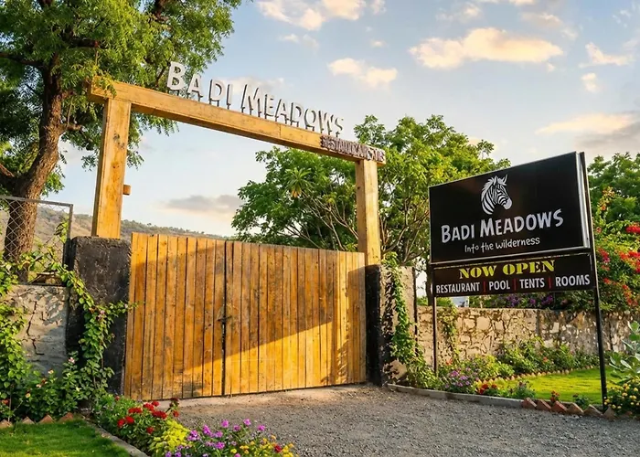 Badi Meadows By Wilkisto Near Fatehsagar Lake