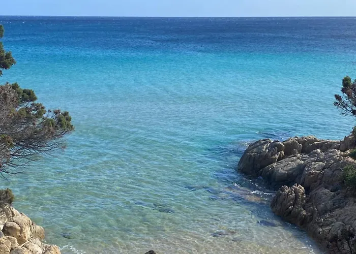 Villettadaisy, Chia