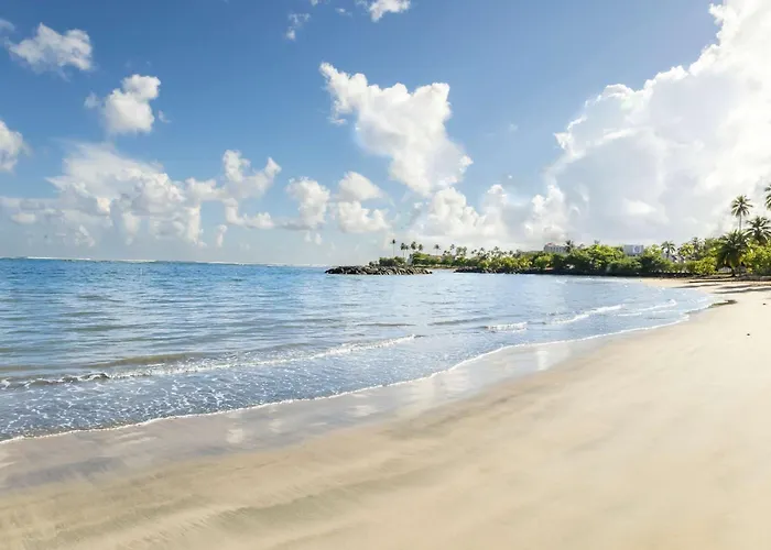 Aqua Terrazas Studio 4 - Oceanfront, Pool & Terrace Views