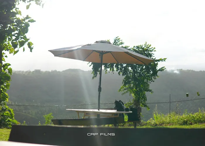 Thrill Playgrounds & Tipi Cafe