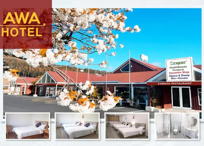 Awa Hotel 4-Star 23-36 Sqm Large Rooms And 3 Sqm Small Single Rooms-Capsules