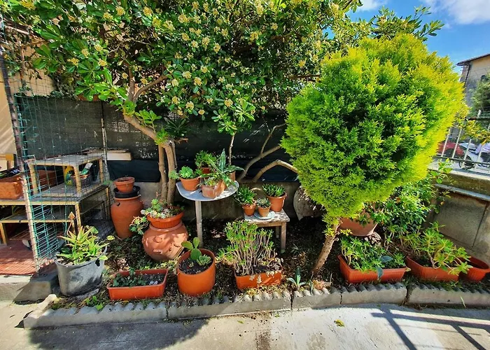 House With Garden In Marina Di Pisa