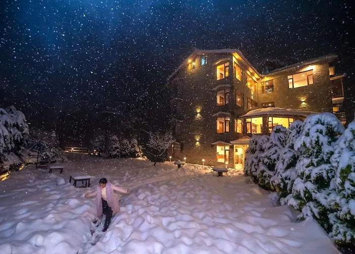 Snow City'S Montana Blues Resort Manali - Heated & Air-Cooled Stay