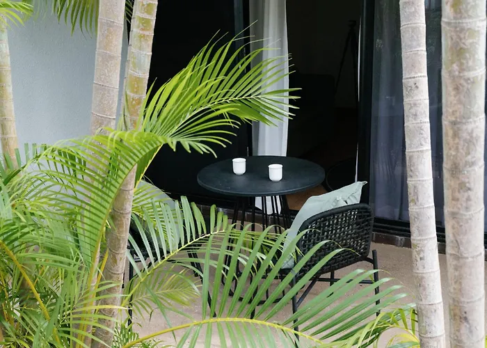 The Leea, Darwin