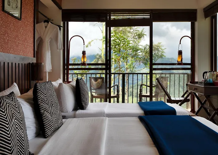Madulkelle Tea And Eco Lodge