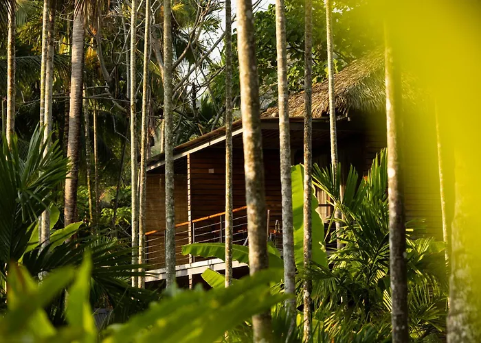 Tilar Siro Andamans - A Cgh Earth Experience