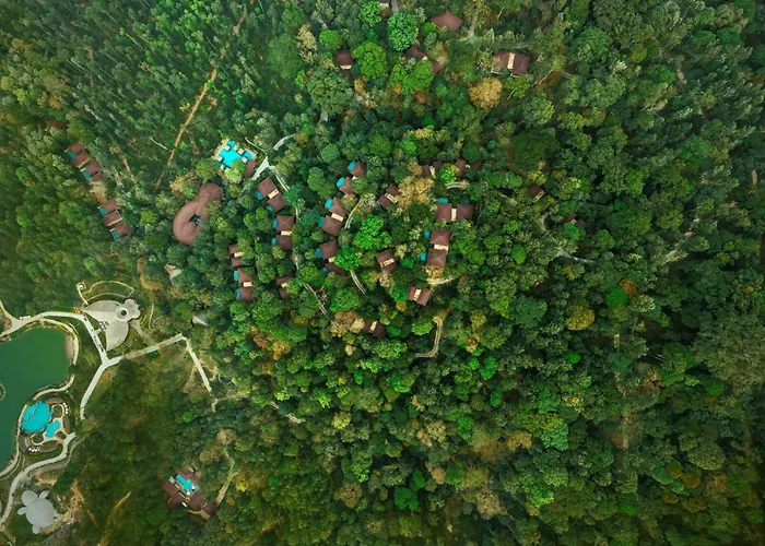 The Leela Coorg Forest Sanctuary