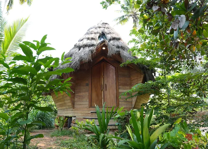 Tiny Temple Ayurvedic Retreat Center