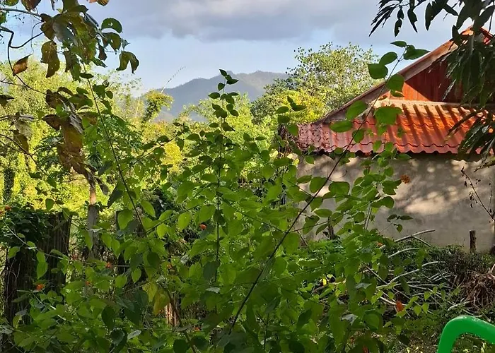 Oasis Pai Resort