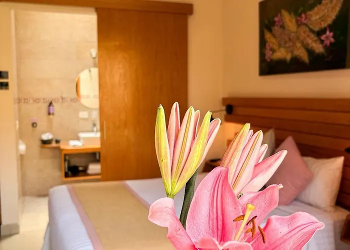 Arcosodi Hotel Boutique