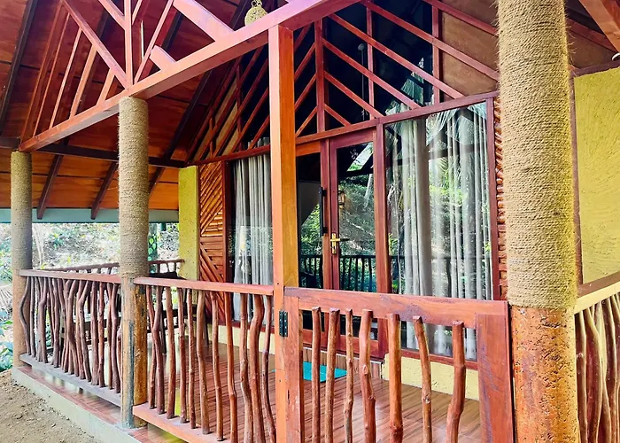 The Rainforest Hideaway