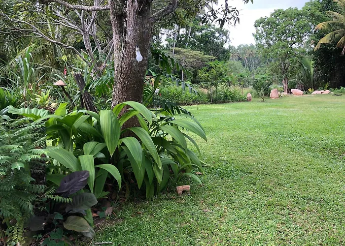 Aurora Eco Stay