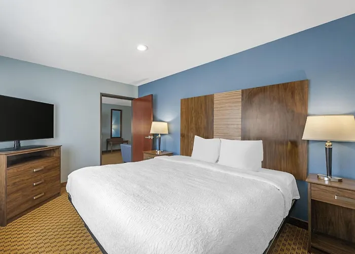 Best Western South Plains Inn & Suites