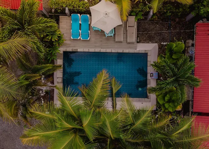 Rooms & Pool Macaws