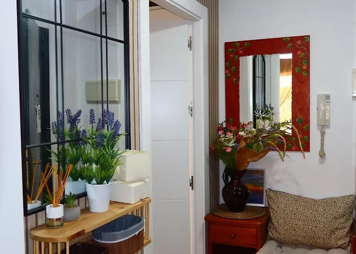 Divi Apartments Costa Ballena
