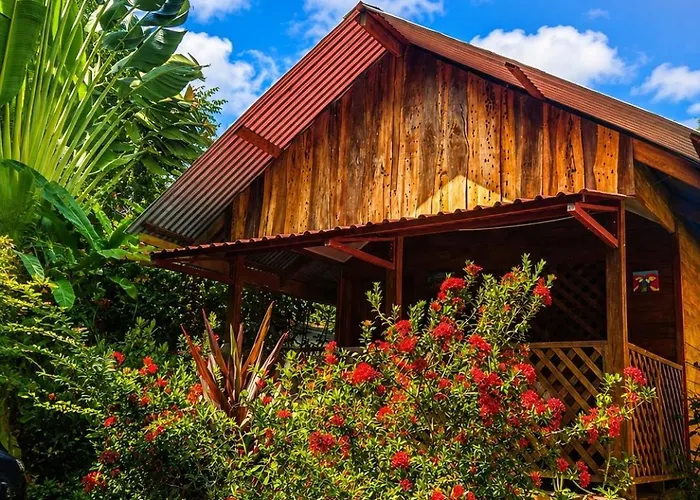 Ballena Oasis Homes & Glamping