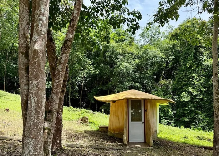 Treehouses Yao Noi