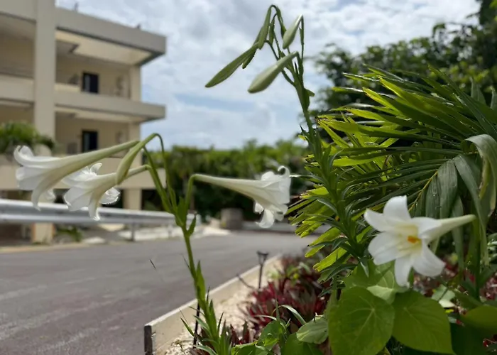 Villa Resort -悠-