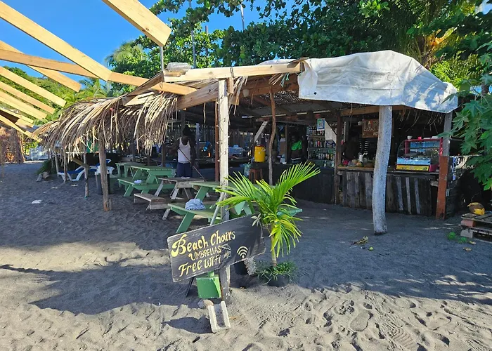 Dominica Seaside Beaches & Attractions Tour